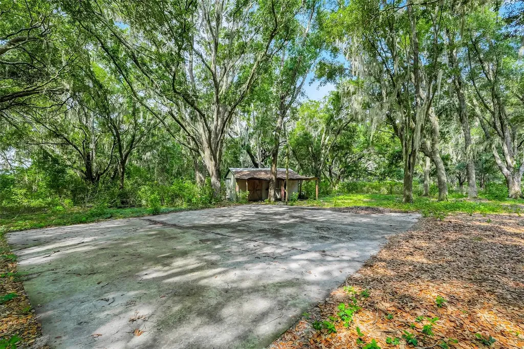23449 Thomas Allen Road Howey In The Hills FL 34737