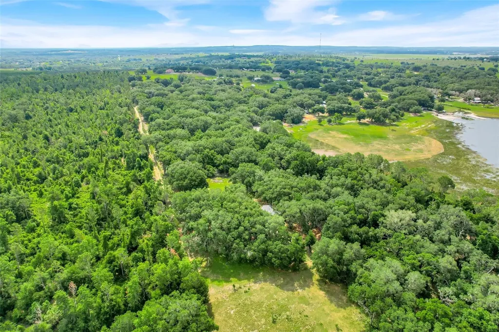 23449 Thomas Allen Road Howey In The Hills FL 34737