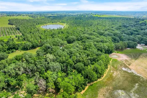 23449 Thomas Allen Road Howey In The Hills FL 34737