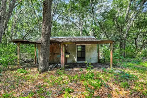 23449 Thomas Allen Road Howey In The Hills FL 34737