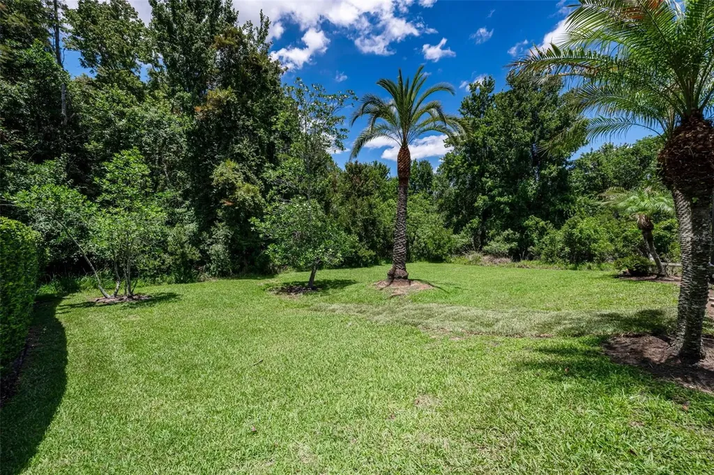 16207 Rambling Road Odessa FL 33556
