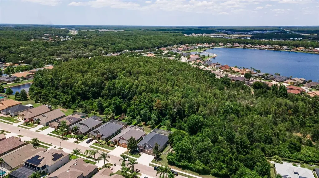 16207 Rambling Road Odessa FL 33556