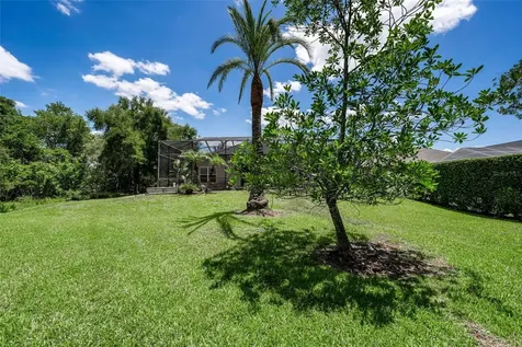 16207 Rambling Road Odessa FL 33556