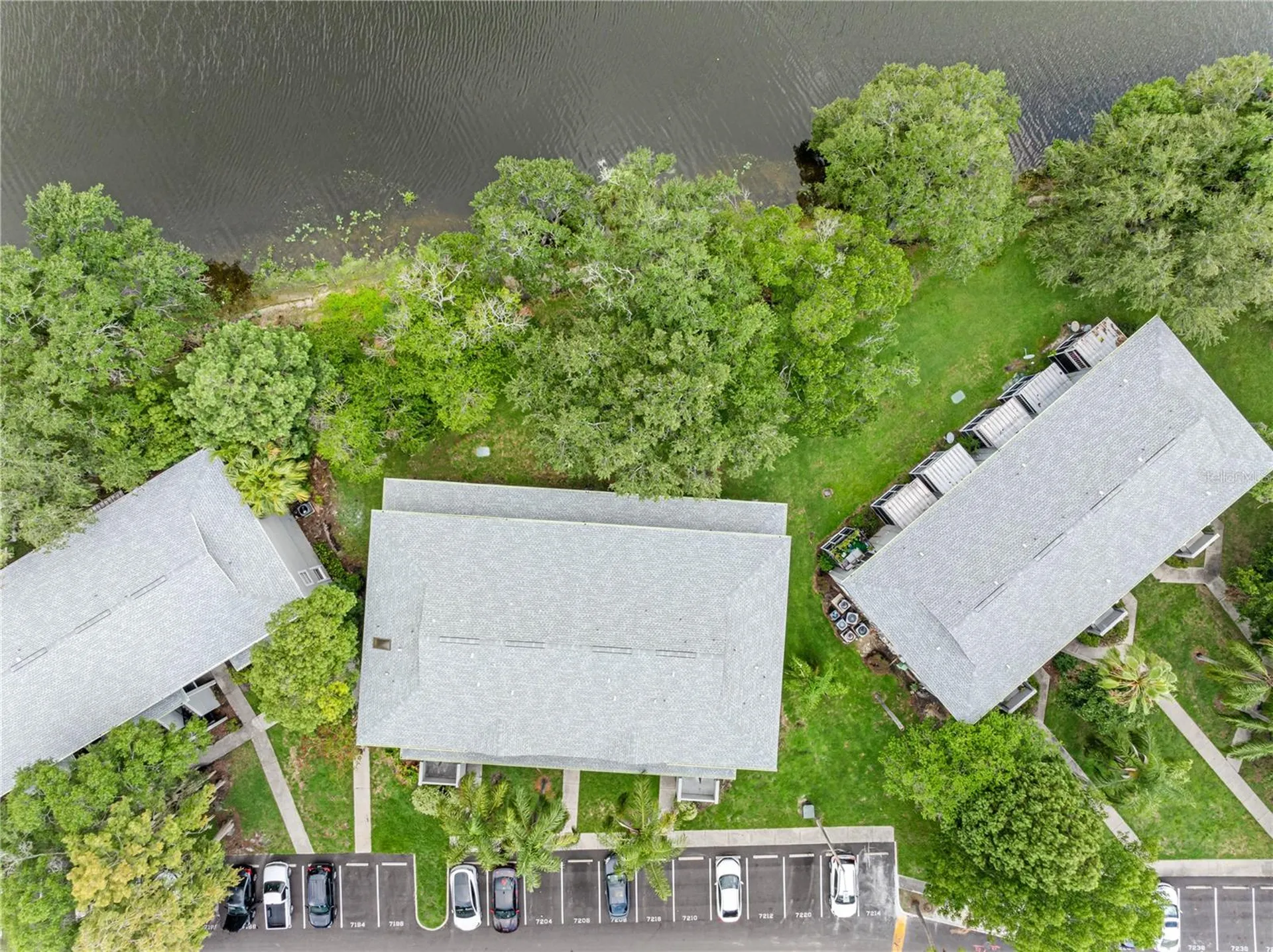 7200 E Bank Drive Tampa FL 33617