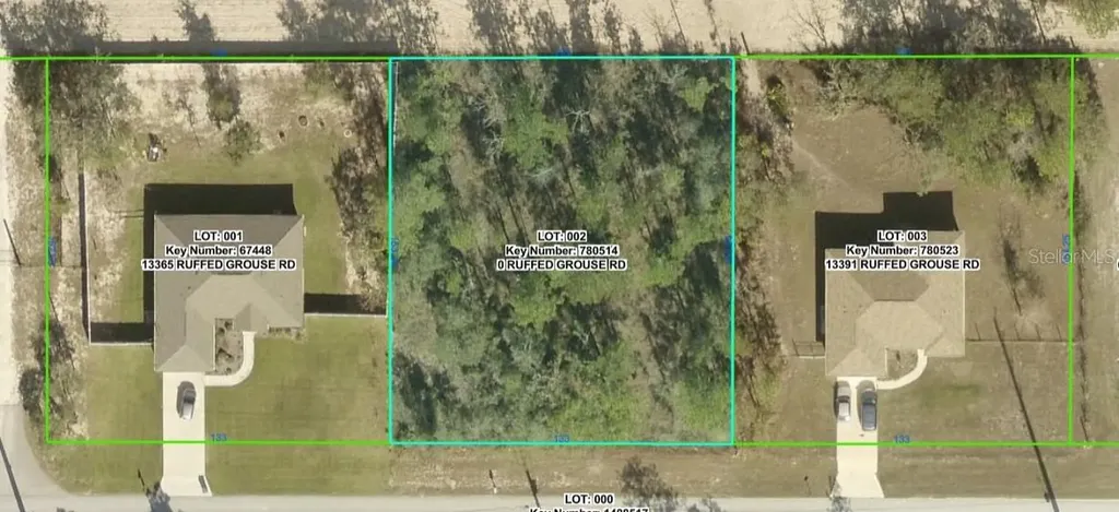 0 Ruffed Grouse Road Weeki Wachee FL 34614