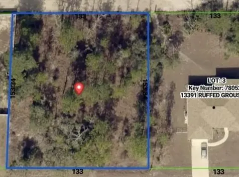 0 Ruffed Grouse Road Weeki Wachee FL 34614