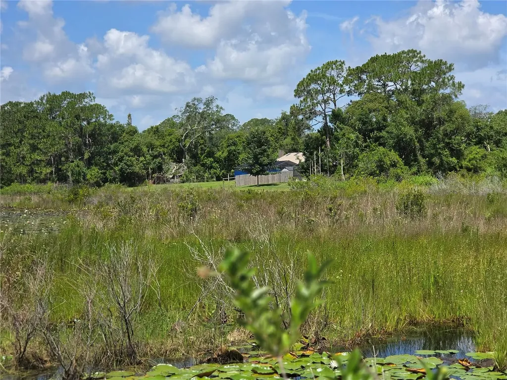2449 E Lake Drive Deland FL 32724