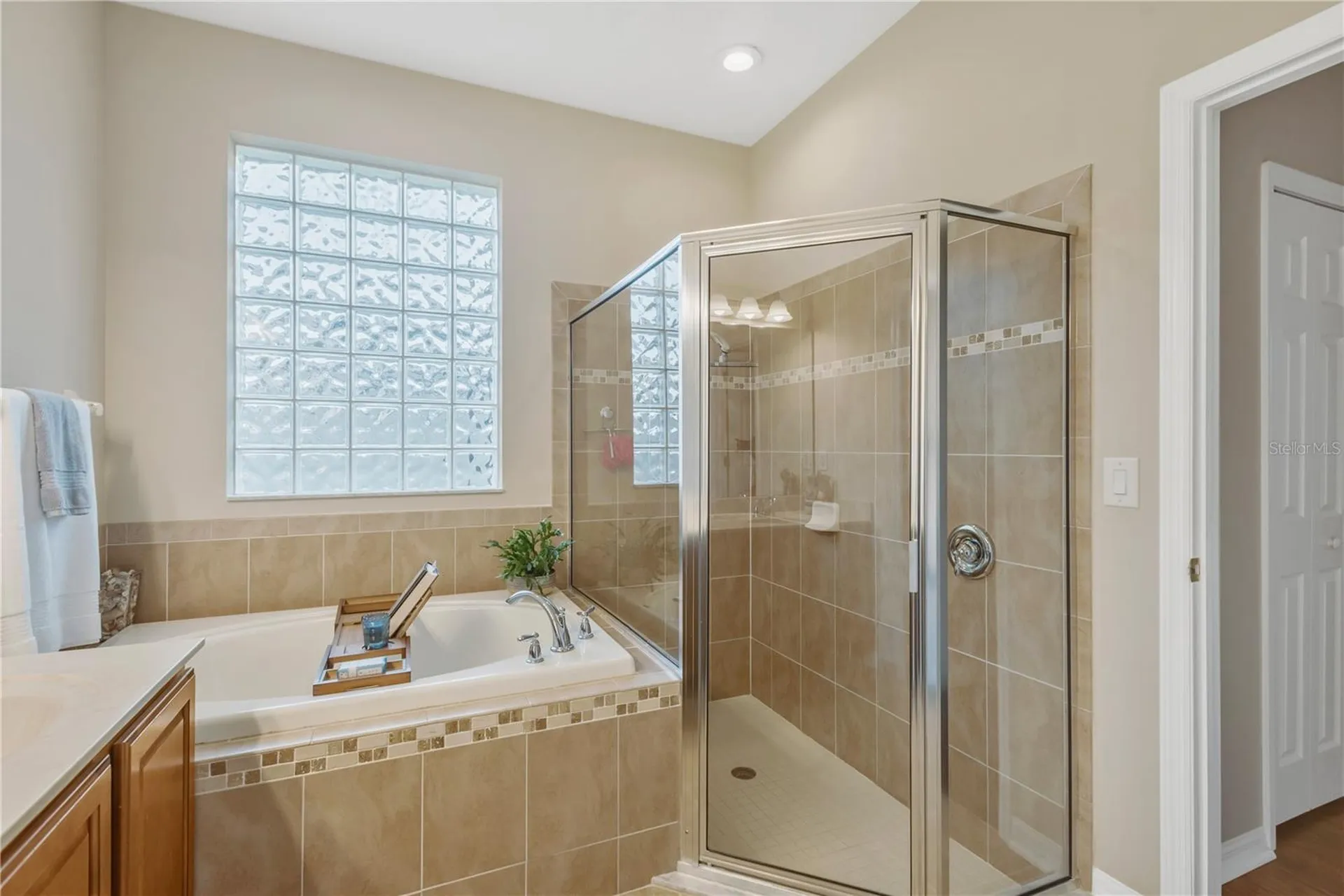 10859 Breaking Rocks Drive Tampa FL 33647