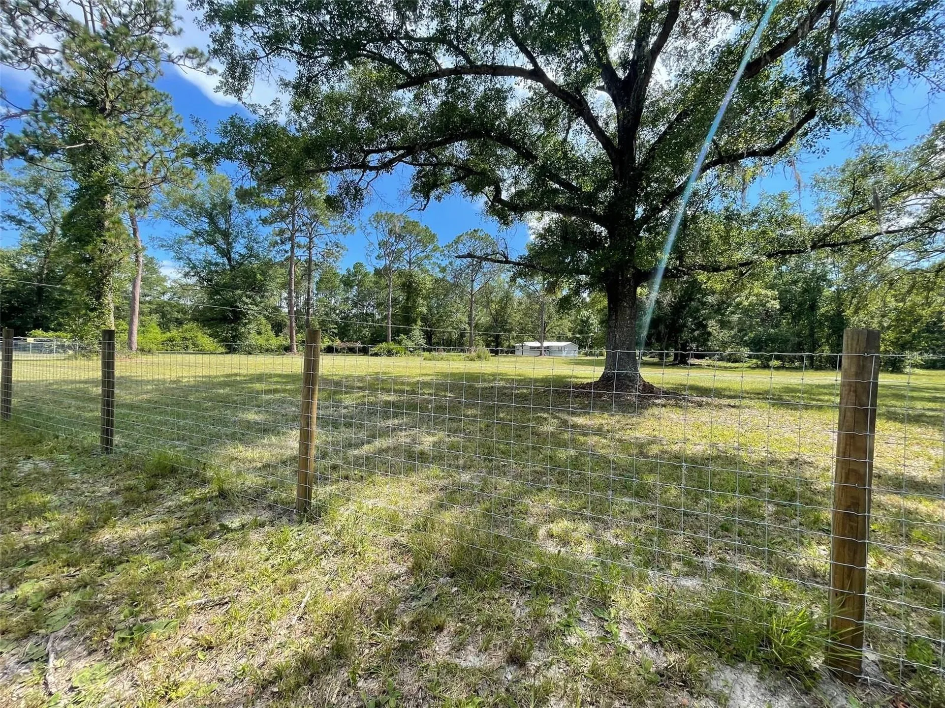 10226 NE 76th Terrace Gainesville FL 32609