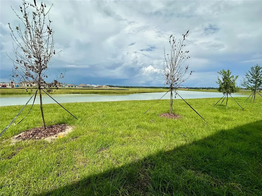 11131 Radiant Shore Loop San Antonio FL 33576