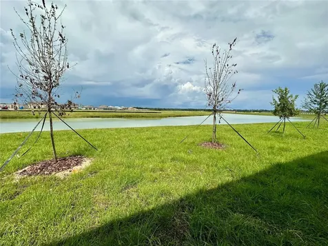 11131 Radiant Shore Loop San Antonio FL 33576