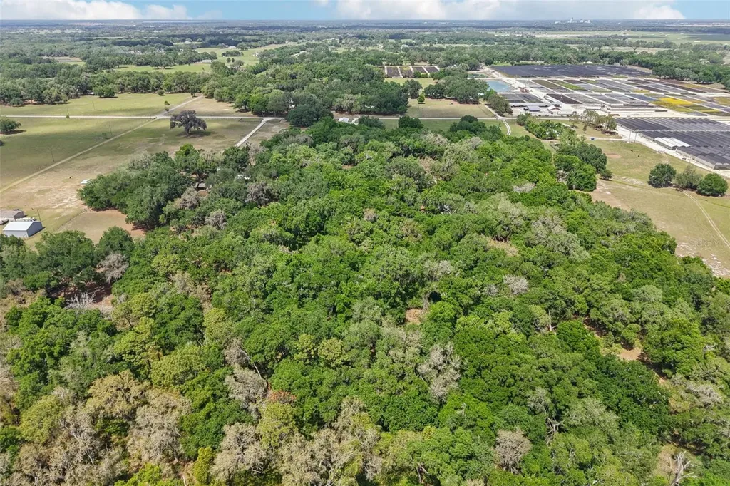 2685 Cr 564 Bushnell FL 33513