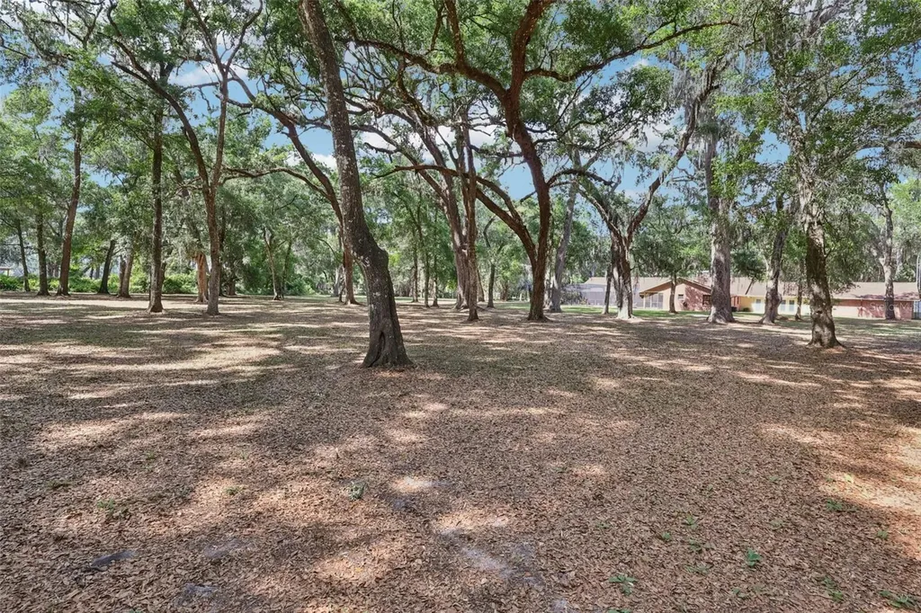 2685 Cr 564 Bushnell FL 33513