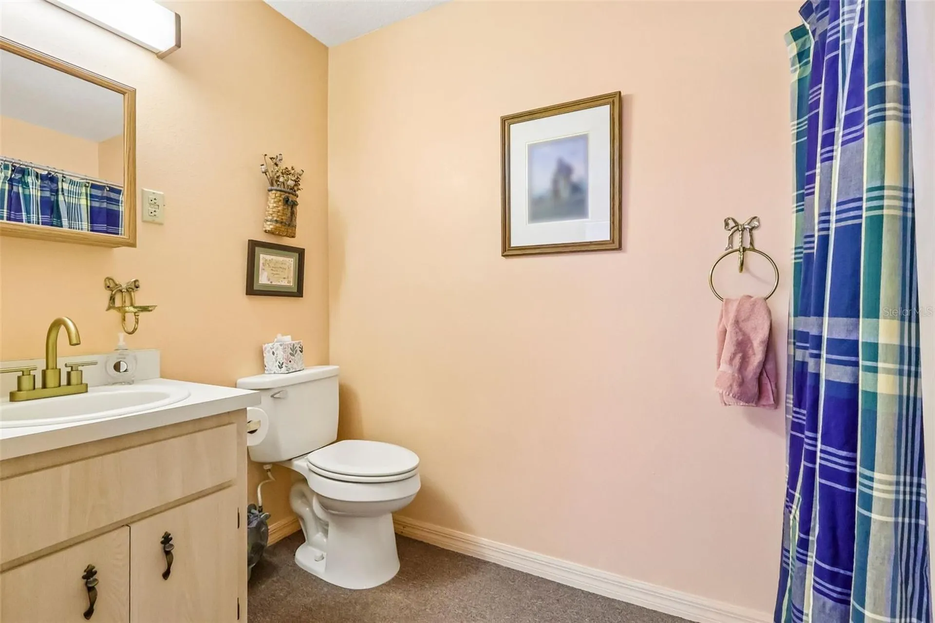 2685 Cr 564 Bushnell FL 33513