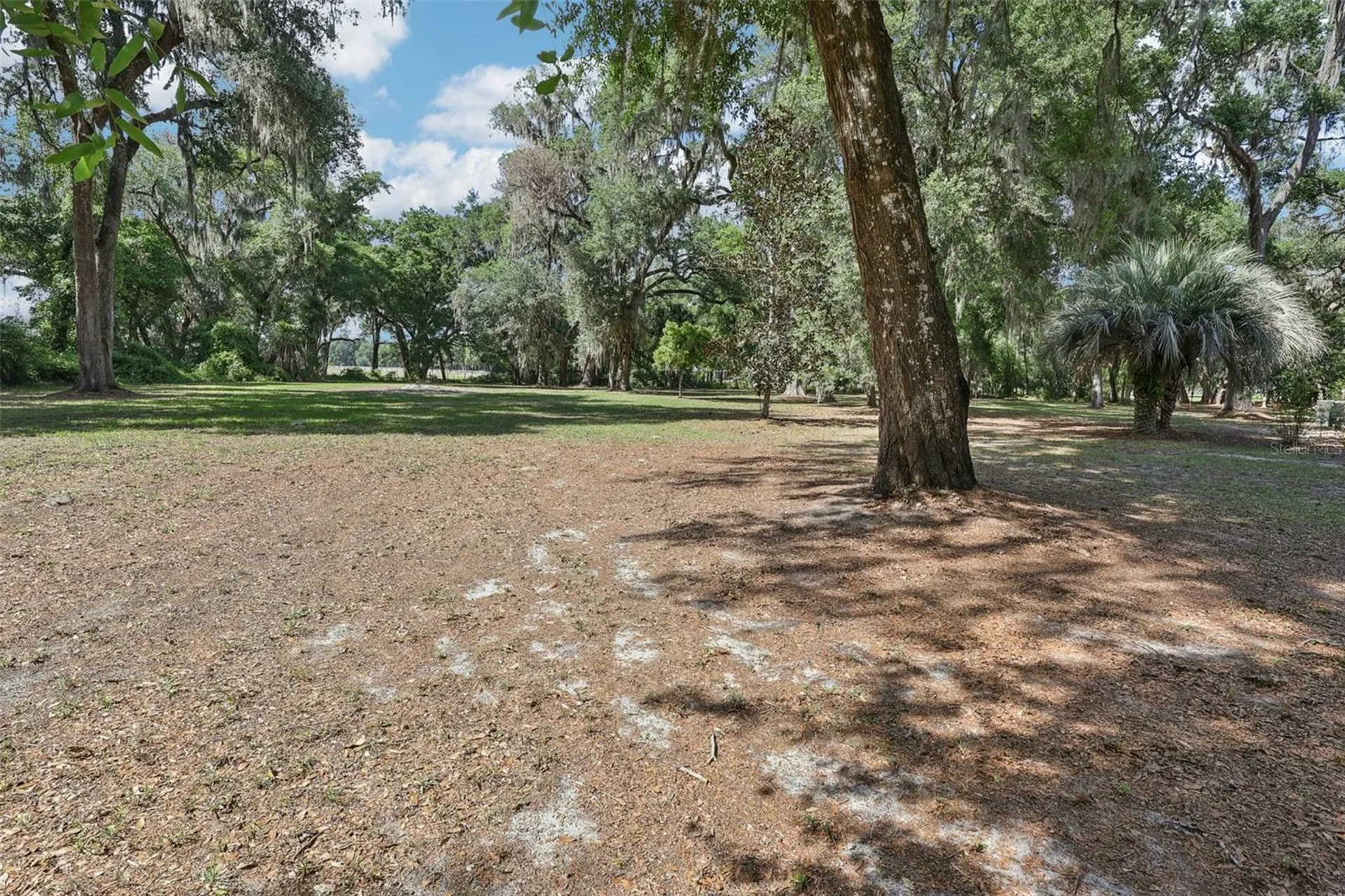 2685 Cr 564 Bushnell FL 33513