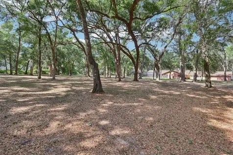 2685 Cr 564 Bushnell FL 33513
