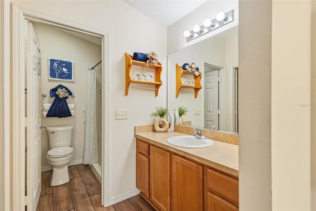 3670 Amelia Avenue The Villages FL 32162