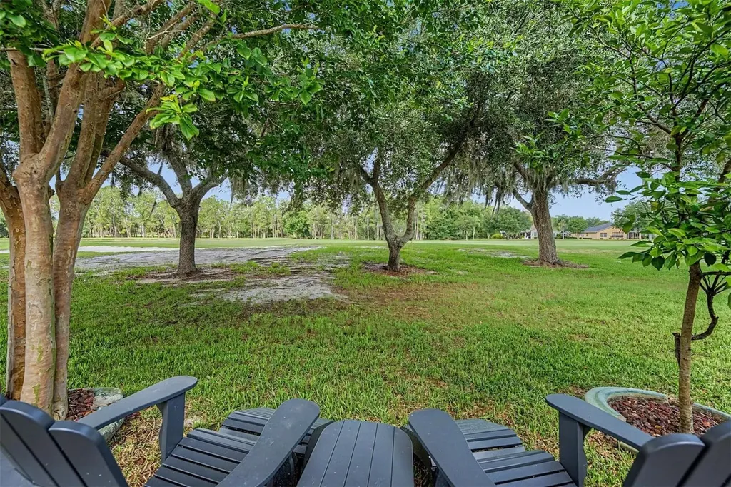 1331 Trimaran Place Trinity FL 34655