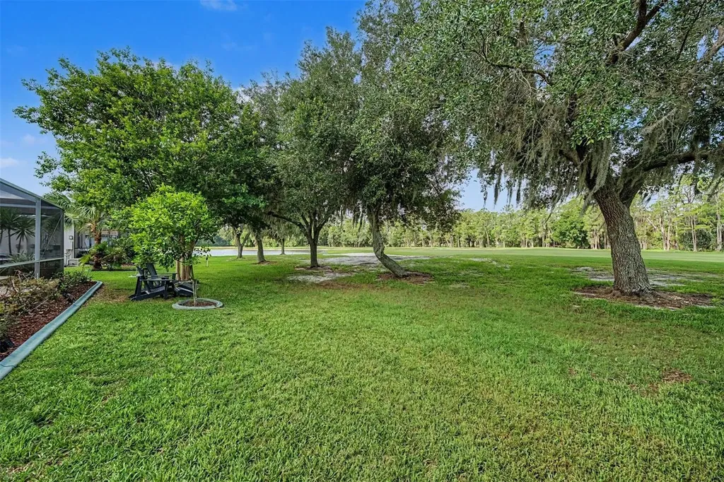 1331 Trimaran Place Trinity FL 34655