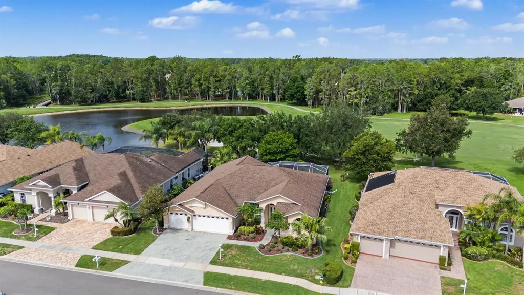 1331 Trimaran Place Trinity FL 34655