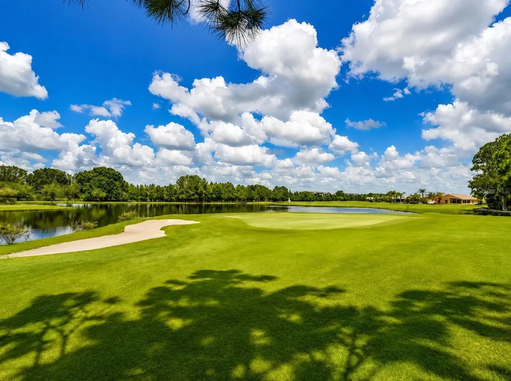 1331 Trimaran Place Trinity FL 34655