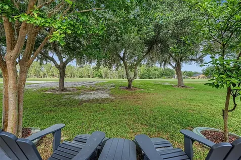 1331 Trimaran Place Trinity FL 34655