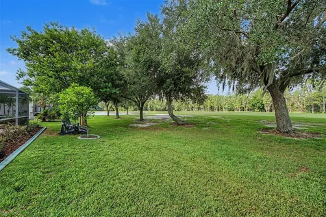 1331 Trimaran Place Trinity FL 34655