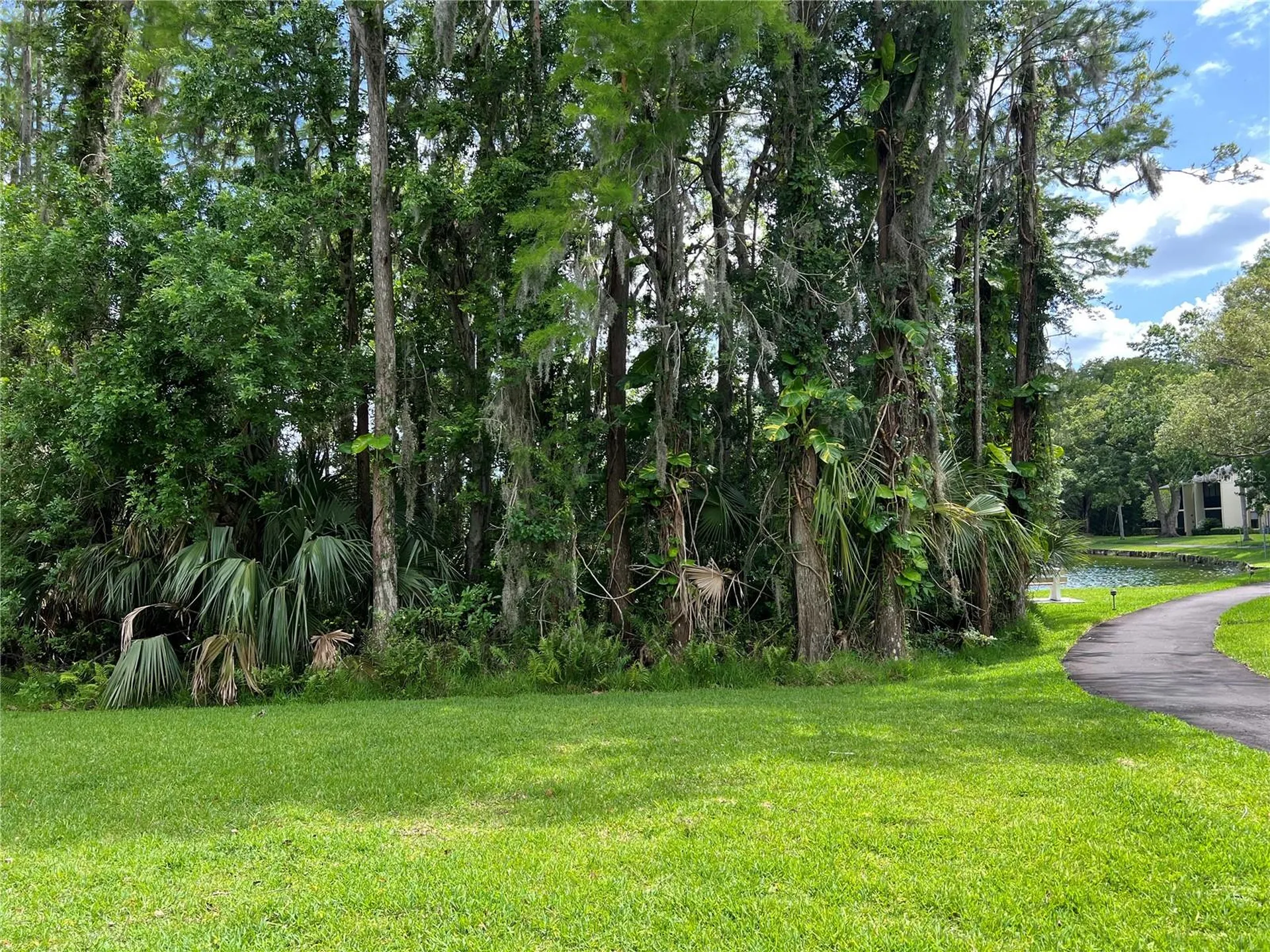 1433 Pine Glen Place Tarpon Springs FL 34688