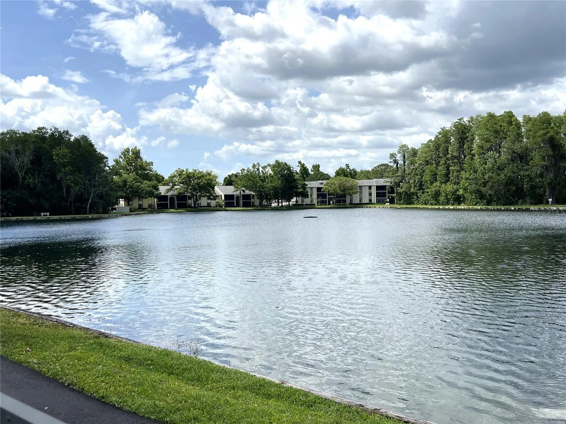 1433 Pine Glen Place Tarpon Springs FL 34688