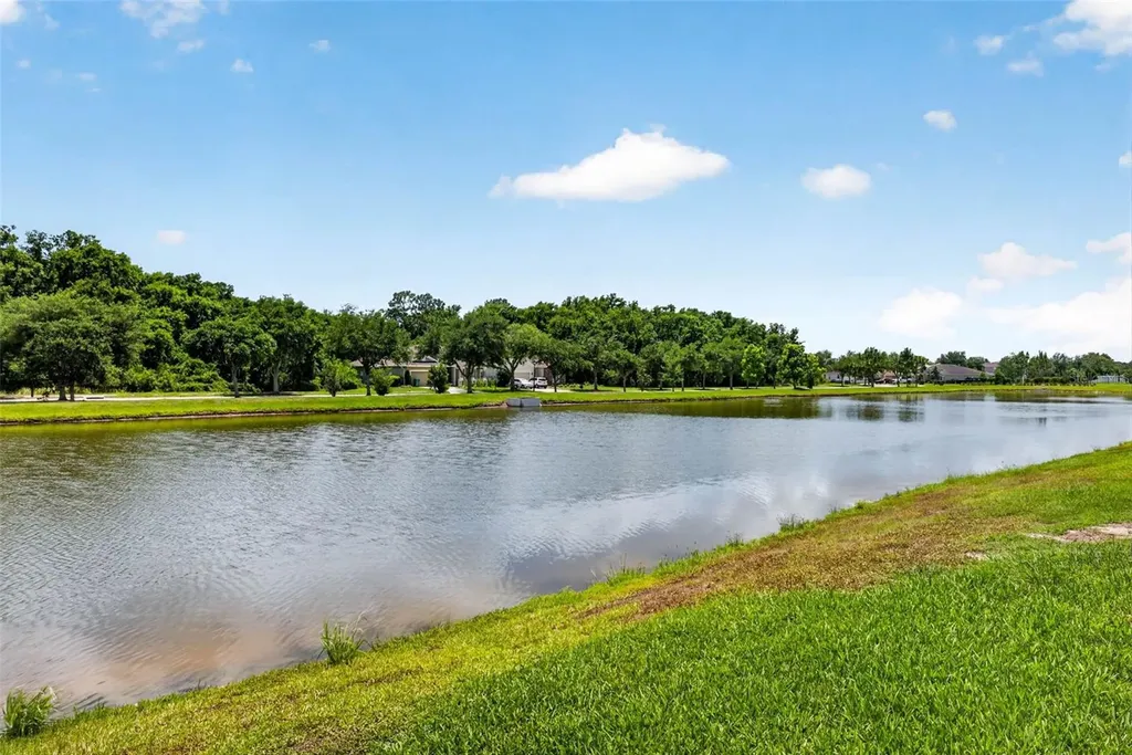 6946 Talamore Drive Wesley Chapel FL 33545