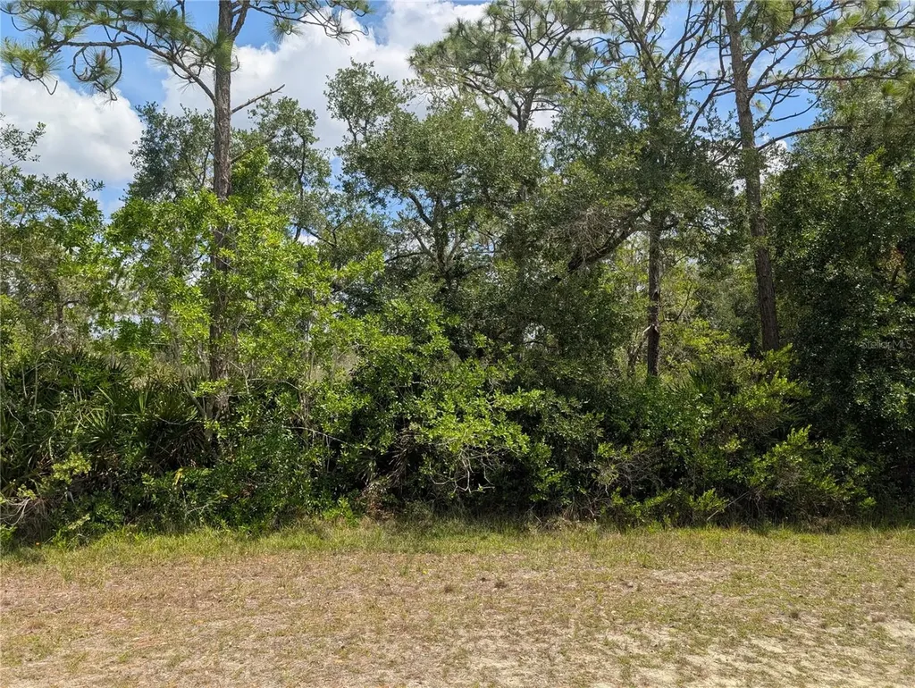 716 Orchid Drive Indian Lake Estates FL 33855