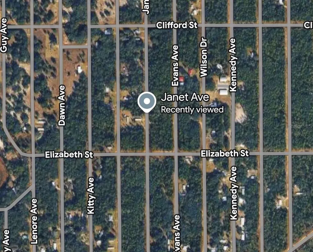 Janet Avenue Interlachen FL 32148