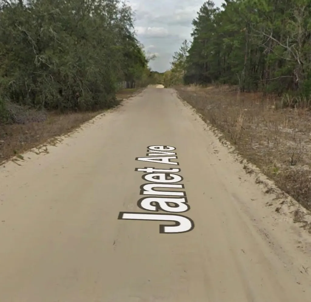 Janet Avenue Interlachen FL 32148