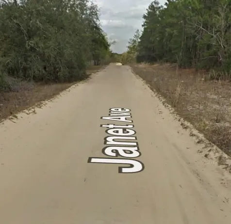 Janet Avenue Interlachen FL 32148