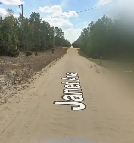 Janet Avenue Interlachen FL 32148