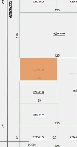 Janet Avenue Interlachen FL 32148