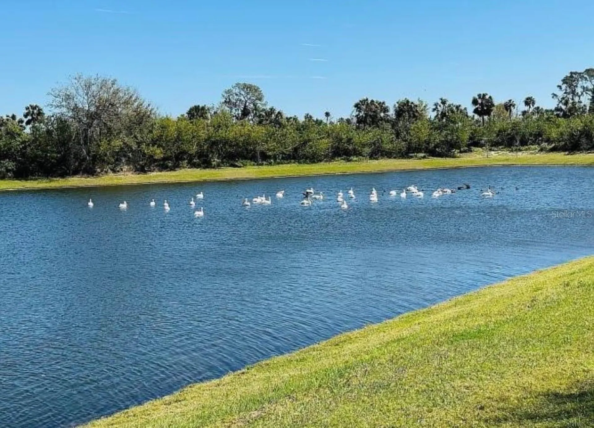 6272 Bucket Court Gibsonton FL 33534