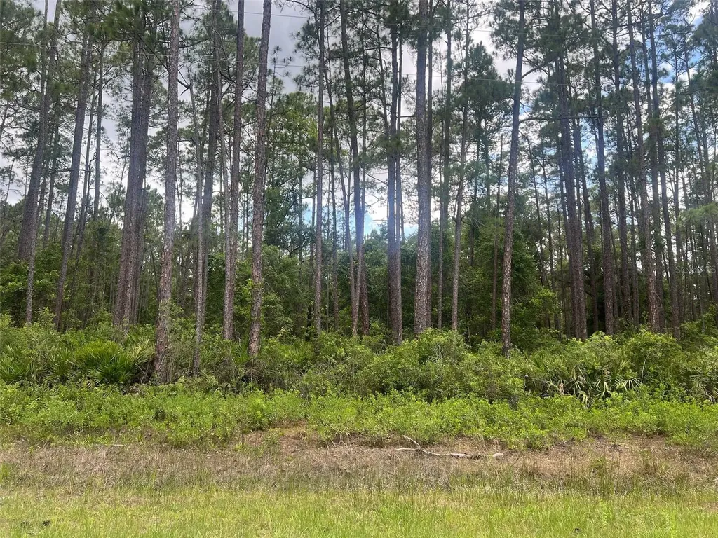 137 E Boundary Drive Georgetown FL 32139