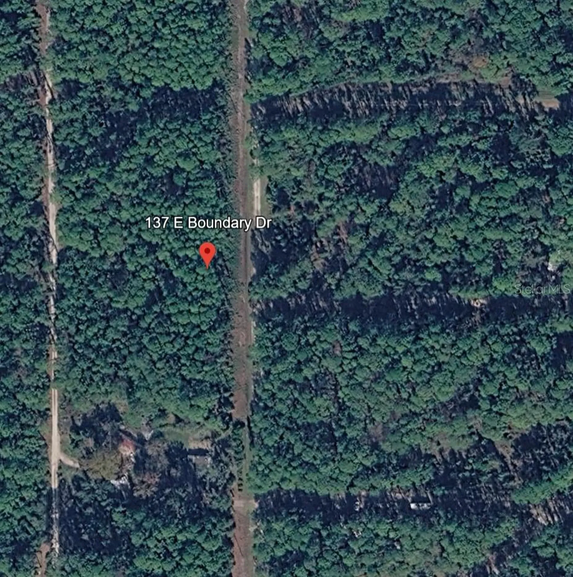 137 E Boundary Drive Georgetown FL 32139