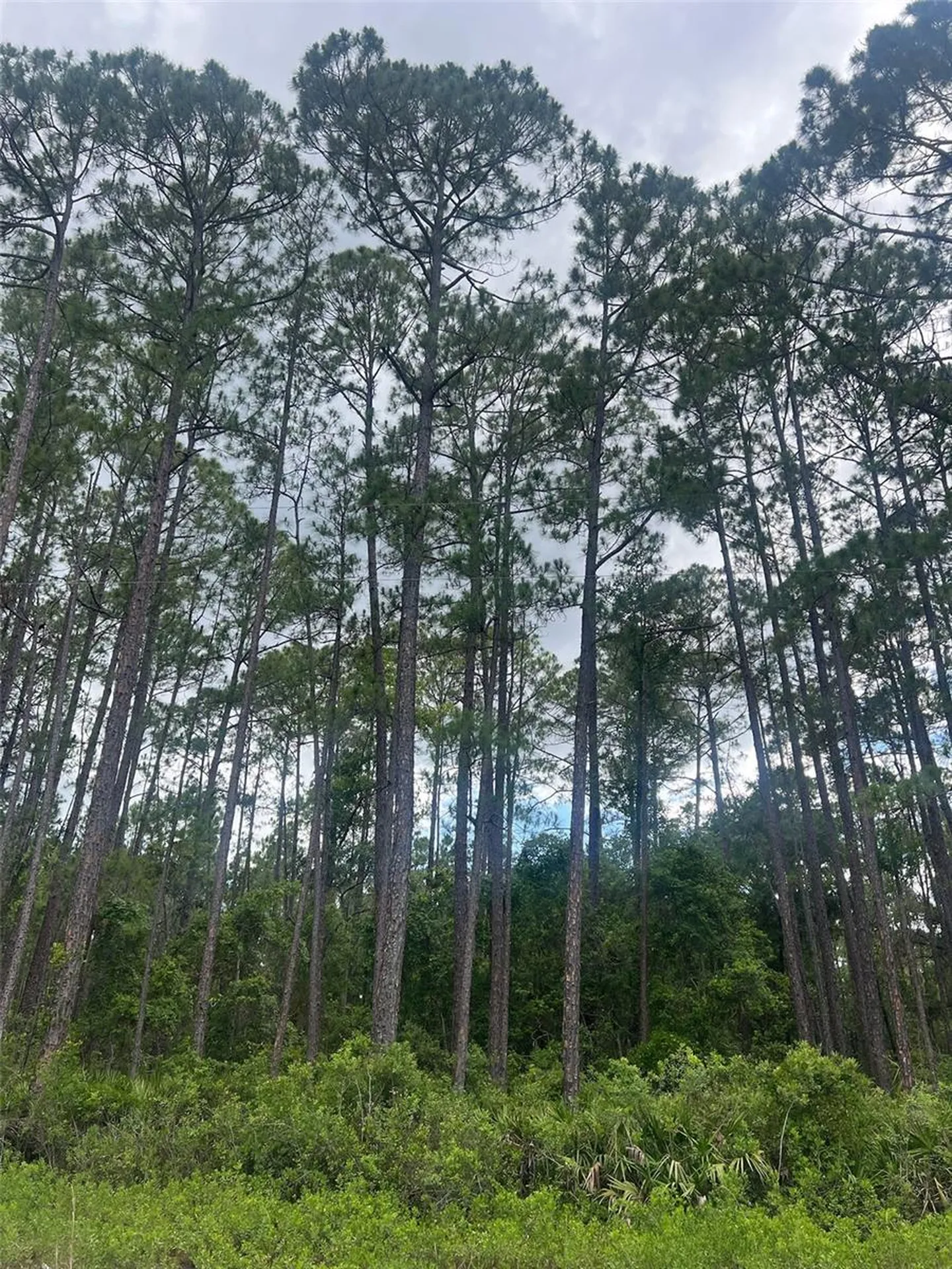 137 E Boundary Drive Georgetown FL 32139