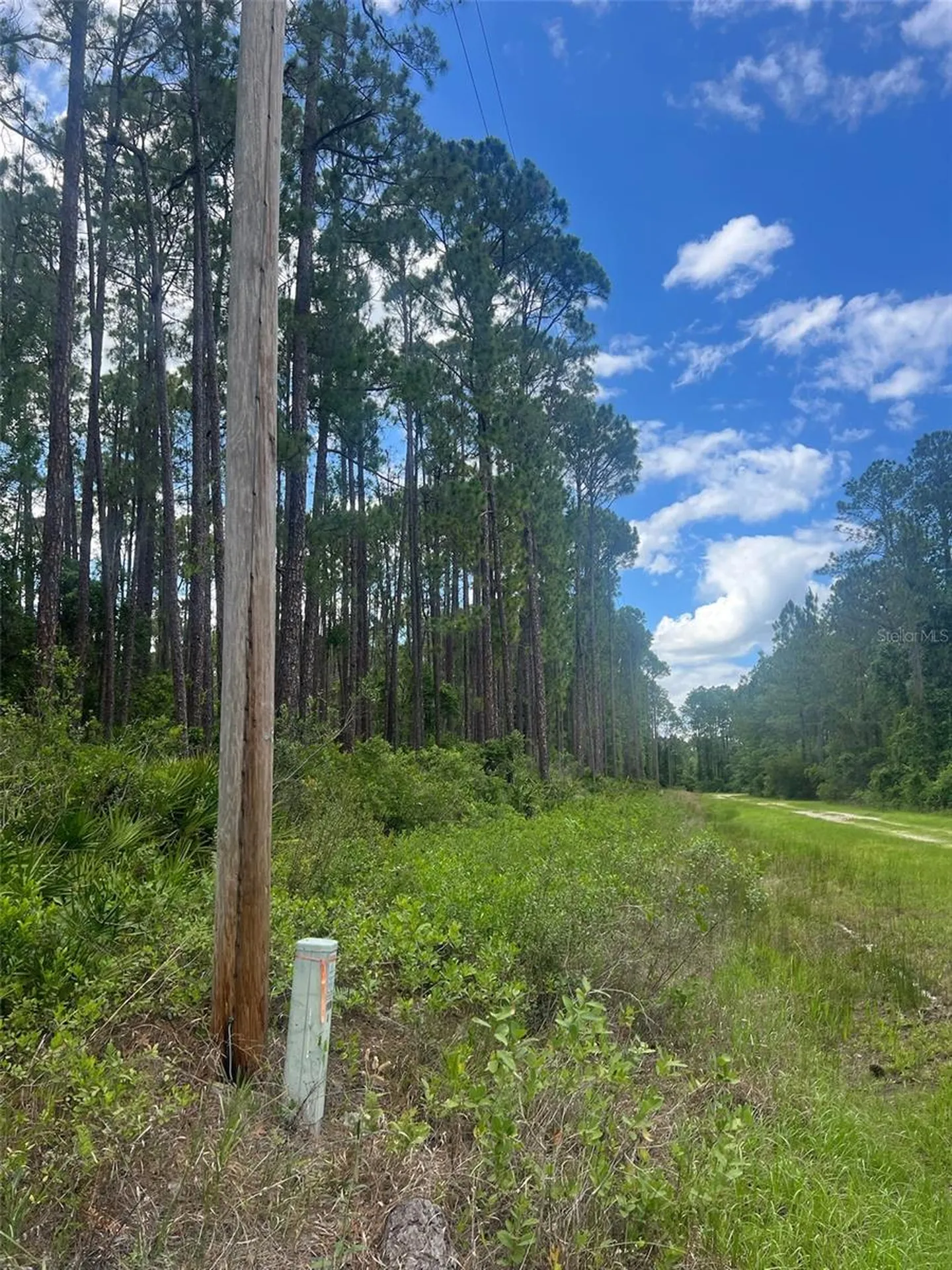 137 E Boundary Drive Georgetown FL 32139