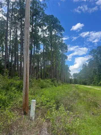 137 E Boundary Drive Georgetown FL 32139