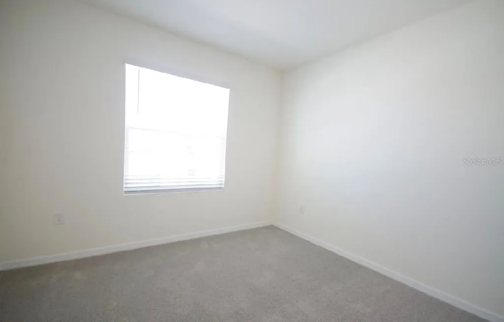 32312 Turtle Grace Loop Wesley Chapel FL 33545