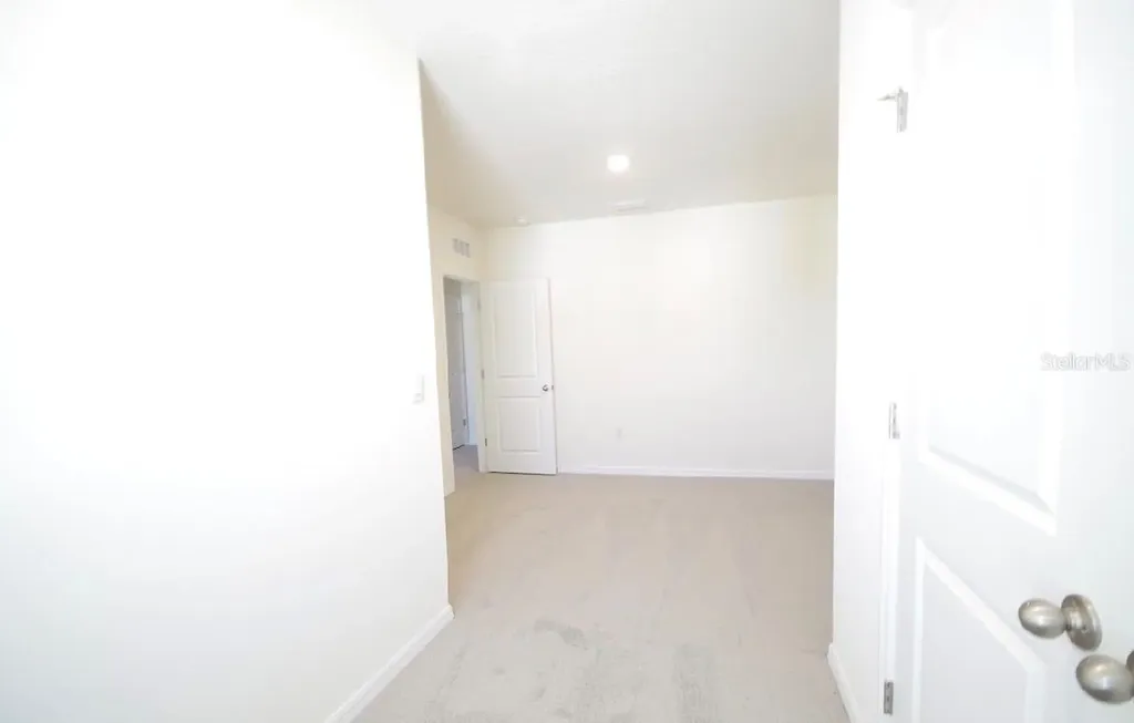 32312 Turtle Grace Loop Wesley Chapel FL 33545
