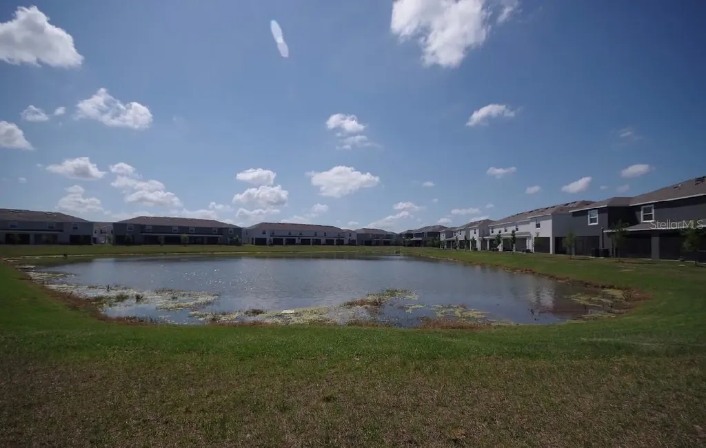 32312 Turtle Grace Loop Wesley Chapel FL 33545