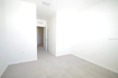32312 Turtle Grace Loop Wesley Chapel FL 33545
