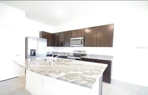 32312 Turtle Grace Loop Wesley Chapel FL 33545