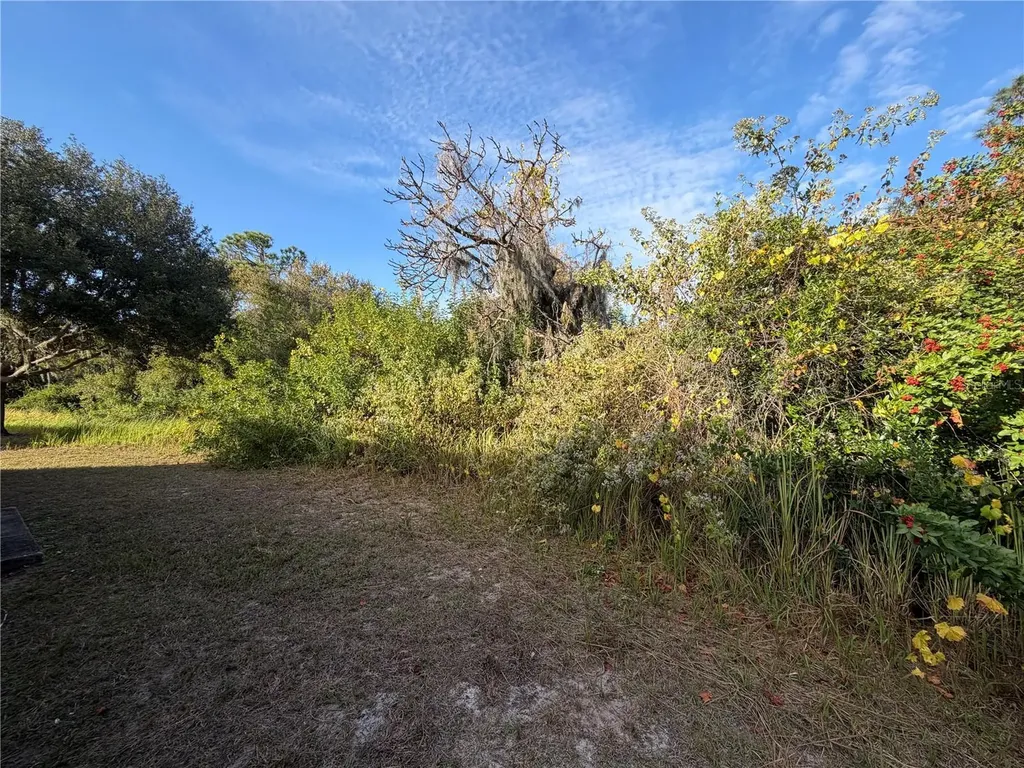 11701 Brenford Crest Drive Riverview FL 33579