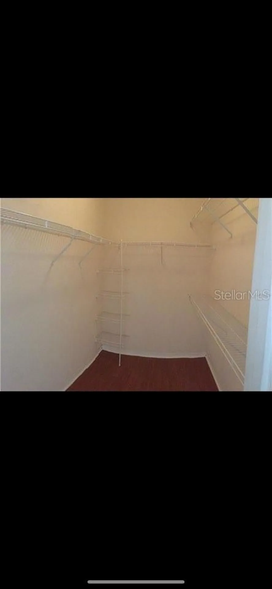 18001 Richmond Place Drive Tampa FL 33647
