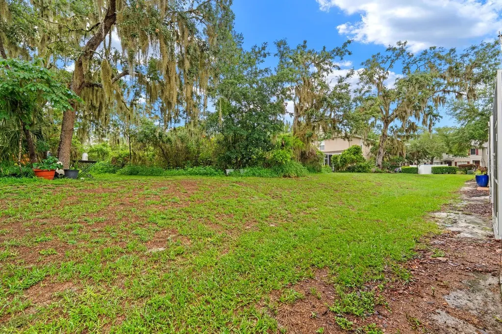 15836 Fishhawk Falls Drive Lithia FL 33547